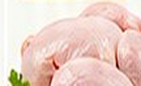 Ayam segar