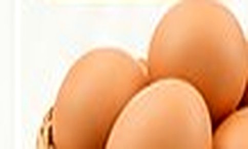 Telur ayam